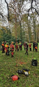 ECM PRO SERVICE ÉLAGAGE  Aubervilliers, Entretien de jardin, Abattage, élagage et taille